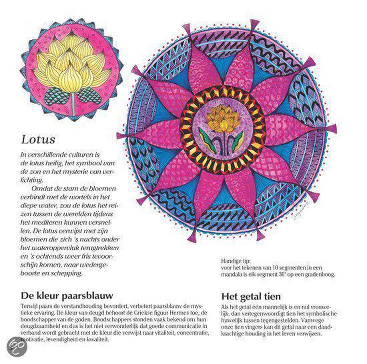 Leef Met Kleur Vertalen Engels englshthir Leef Met Kleur Vertalen Engels englshthir