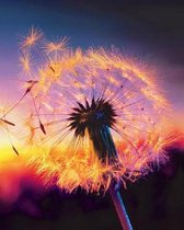 Dandelion Clock Blank Book Lined Journal (8x10)