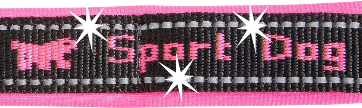 Ferplast hondenriem / leiband sport dog nylon paars - 200cm x 20mm | heeft het
