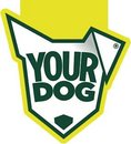 Yourdog Yourdog