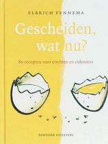 Gescheiden, wat nu?