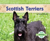 Dogs Set 2 - Scottish Terriers