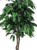 Europalms Mango boom, 180cm - Kunstplant