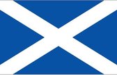 Vlag van Schotland 90 x 150