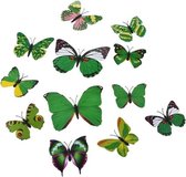 Summer edition, mix groen 3D-vlinders