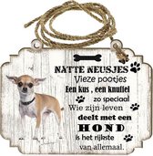 Spreukenbordje hond: Chihuahua kort haar