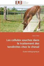 Les cellules souches dans le traitement des tendinites chez le cheval