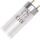 UV-C lamp TL 8W (TMC)