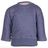 Noeser sweater Belle Batwing science blue/pink Maat: 104