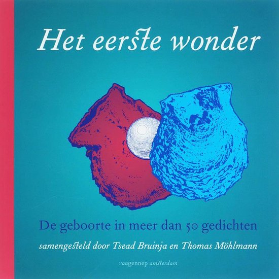 Cover van het boek 'Het eerste wonder'