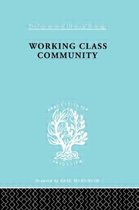 International Library of Sociology- Working Class Comm Ils 122