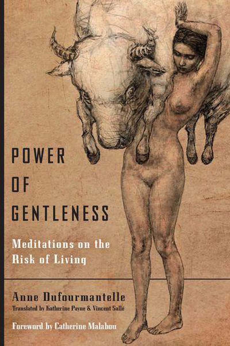 Omslag van Power of Gentleness