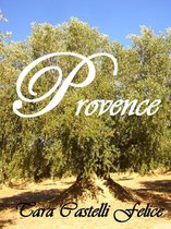 Um passeio pela Provença