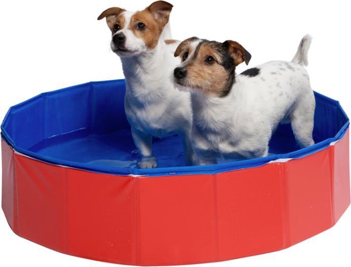 Premium Hondenzwembad - Honden Badje - Verkoeling Hond | 80x80x30cm |  bol.com