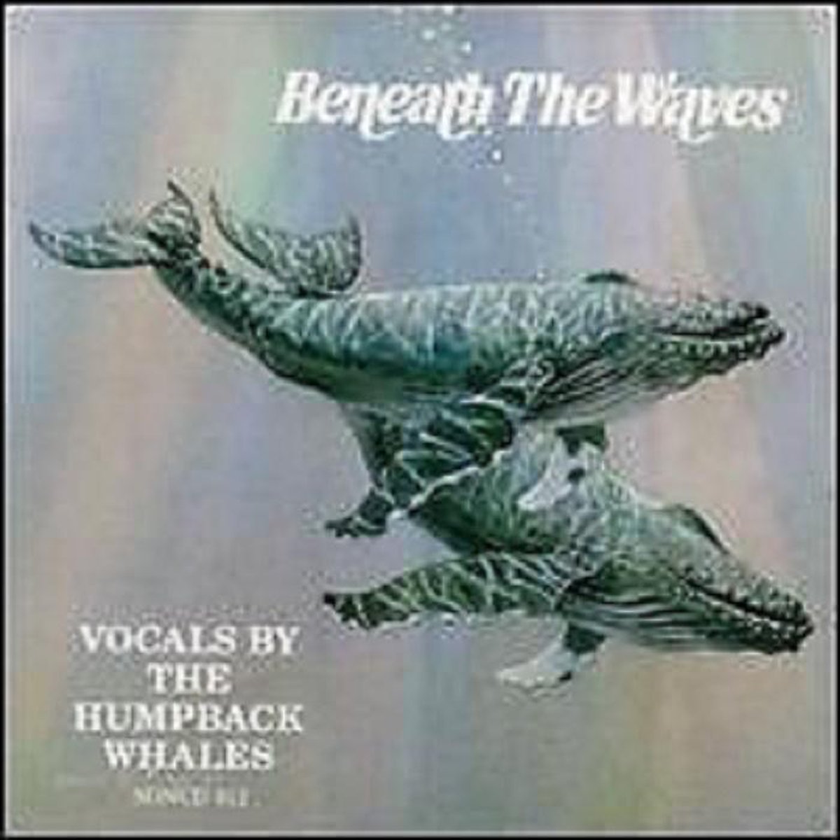 Beneath the Waves