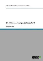 Erhoht Zuwanderung Arbeitslosigkeit?
