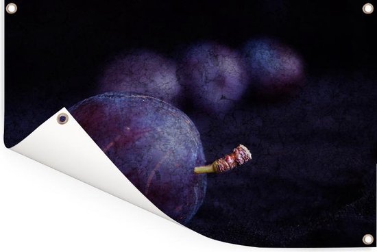 Mystérieuse photo de prunes violettes sur fond noir Affiche de jardin 180x120 cm - Toile de jardin / Toile d'extérieur / Peintures d'extérieur (décoration de jardin) XXL / Groot format!