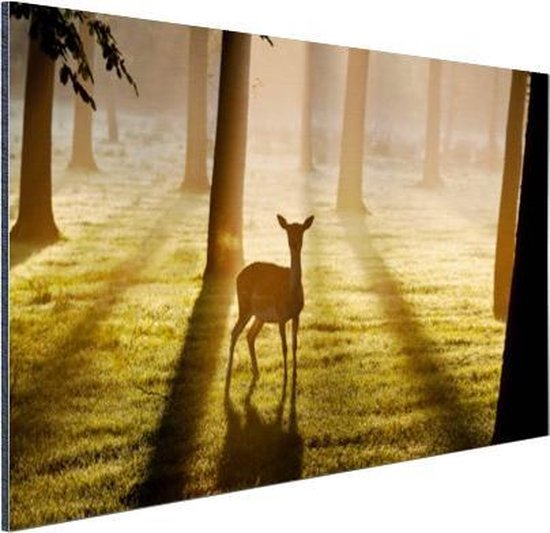 Tirage photo Cerf dans la forêt Aluminium 90x60 cm - Tirage photo sur Aluminium (décoration murale métal)
