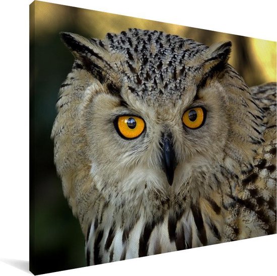 Photo d'une toile européenne hibou grand-duc d'Asie 160x120 cm - Tirage photo sur toile (Décoration murale salon / chambre) XXL / Groot format!