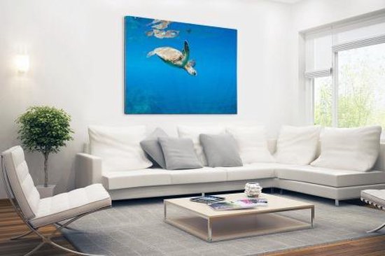 Tortue nageant dans l'océan Aluminium 60x40 cm - Tirage photo sur aluminium (décoration murale en métal)