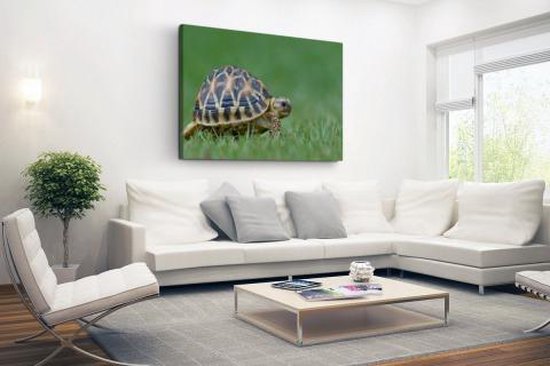 Canvas schilderij 180x120 cm - Wanddecoratie Schildpad op gras - Muurdecoratie woonkamer - Slaapkamer decoratie - Kamer accessoires - Schilderijen