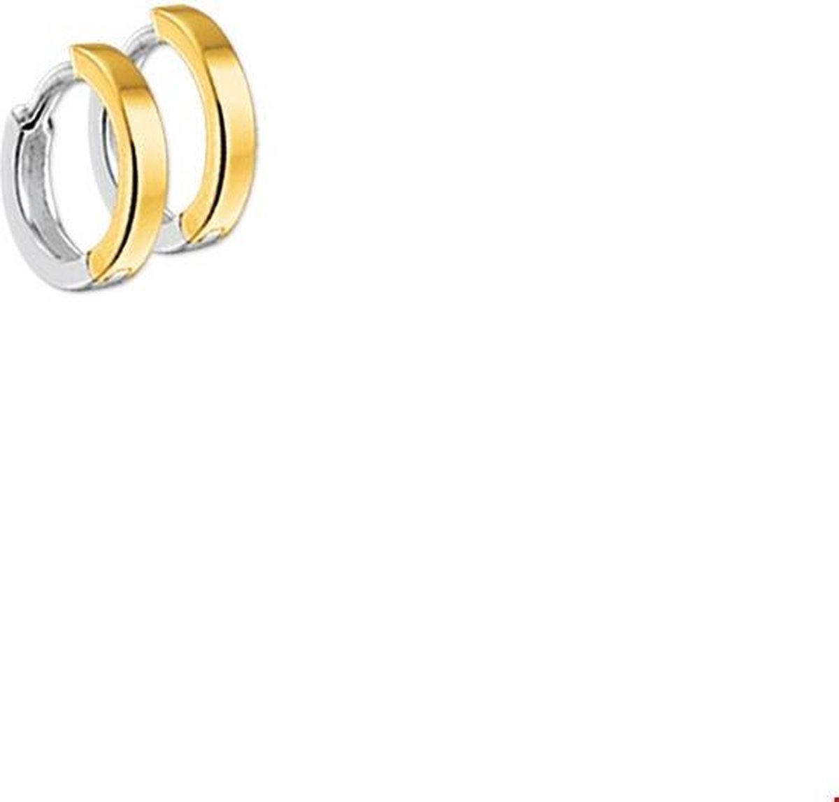 TFT klapoorring 1,5 Mm Vlak Bicolor Goud Glanzend
