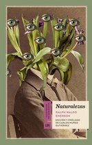 Cuadernos de Horizonte 9 - Naturalezas