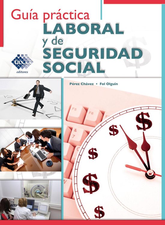 Guía práctica Laboral y de Seguridad Social 2017 - cover