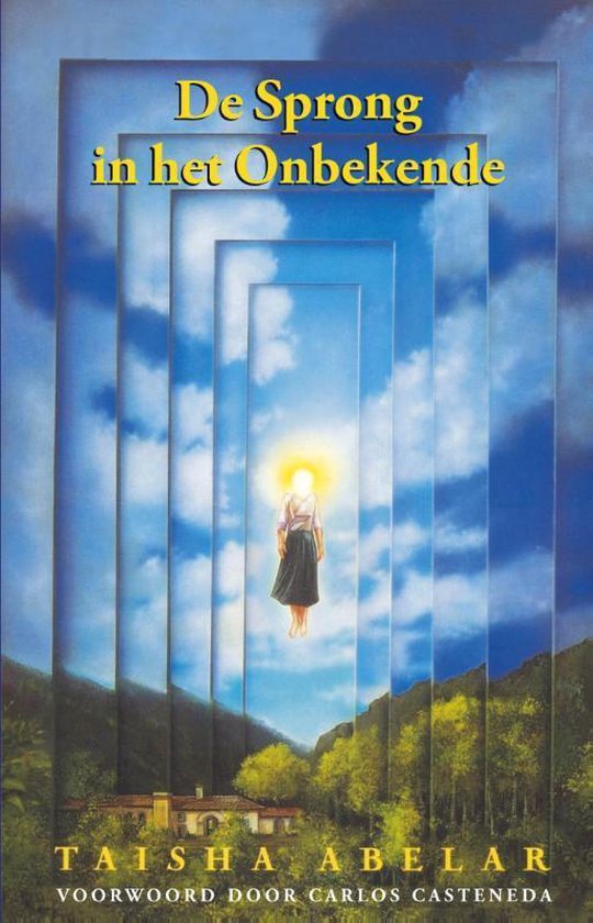 Cover van het boek 'De Sprong in het Onbekende'