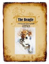 The Beagle