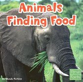 Animals Finding Food