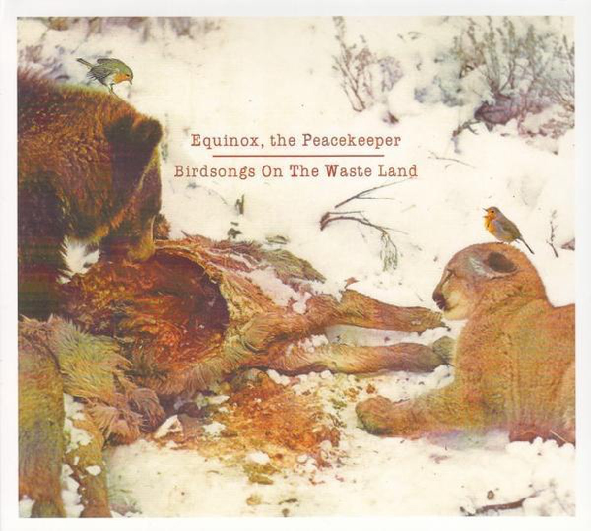 Birdsongs On The Waste..