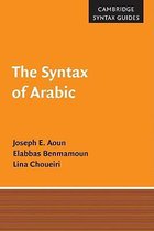 Syntax Of Arabic