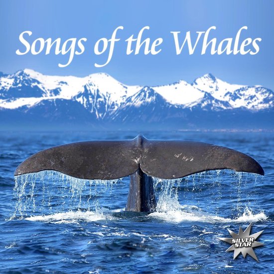 Songs Of The Whales