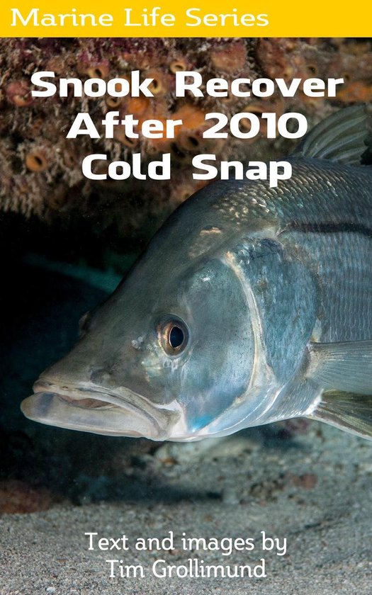 Snook Recover After 2010 Cold Snap - cover