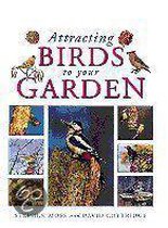 Attracting Birds To Your Garden