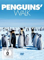Penguin's Walk