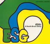 ESG: A South Bronx Story