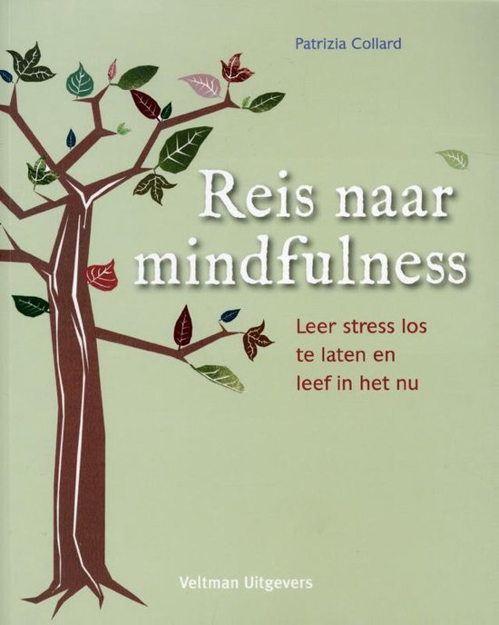 Cover van het boek 'Reis naar mindfulness'