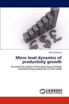 Micro Level Dynamics of Productivity Growth