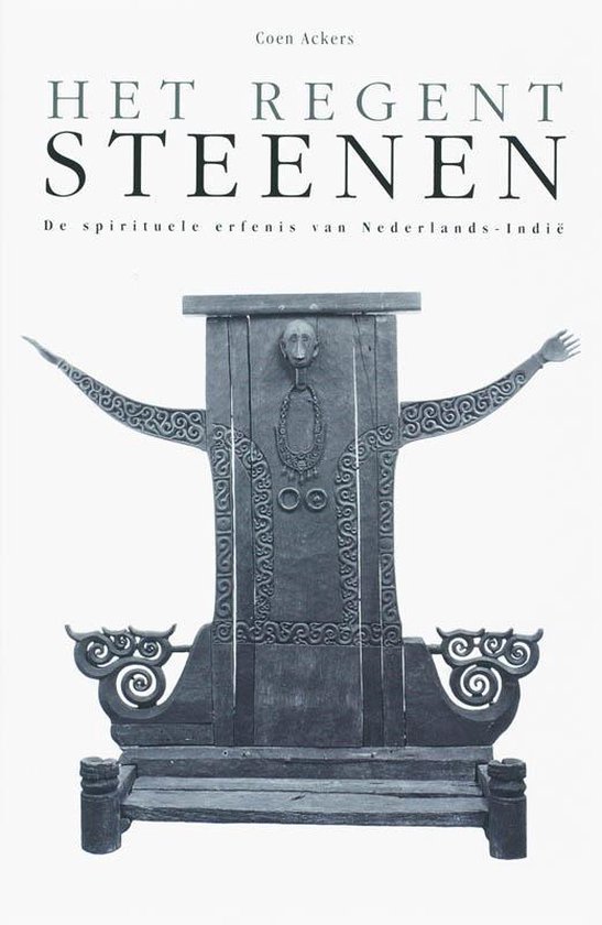Cover van het boek 'Het regent steenen / druk 1'