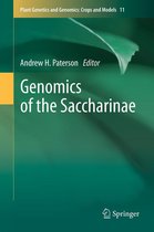Plant Genetics and Genomics: Crops and Models 11 - Genomics of the Saccharinae