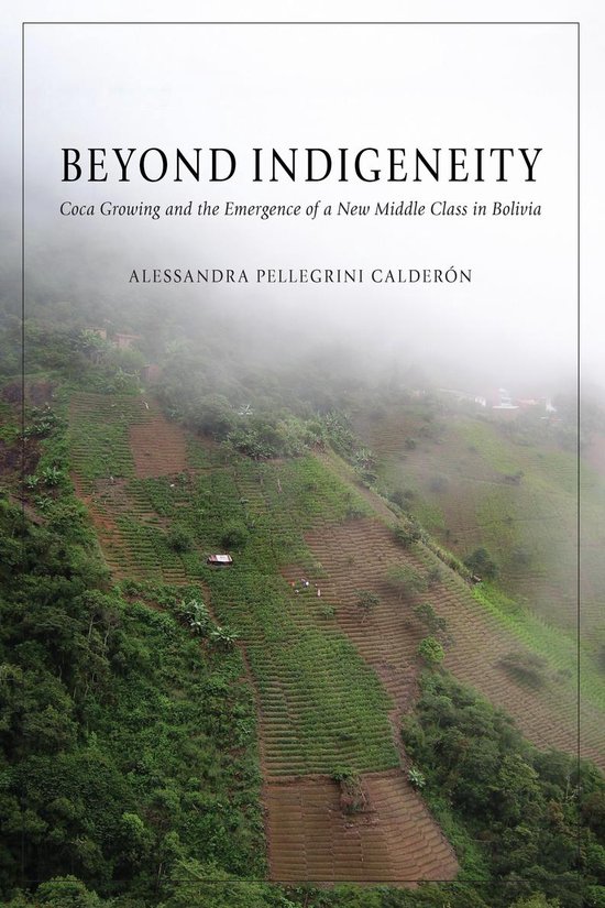 Beyond Indigeneity - cover