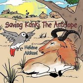 Saving Kanki The Antelope