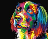 Schilderen op nummer volwassenen - Paint by number - Hond - Stabij - Dog