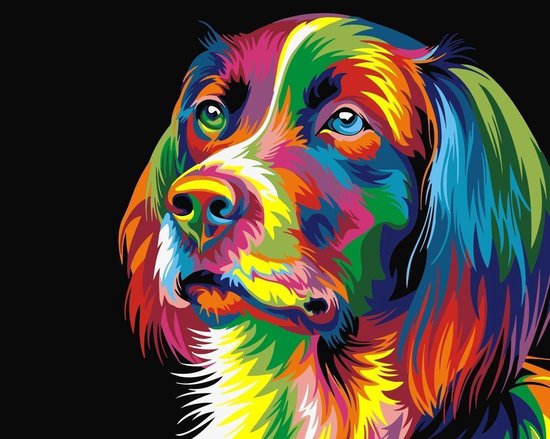Baleinwalvis Grappig Radioactief Schilderen op nummer volwassenen - Paint by number - Hond - Stabij - Dog |  bol.com