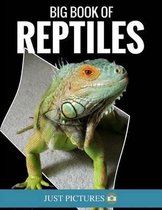 Big Book Of Reptiles