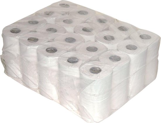 Meander Bediening mogelijk financieel Toilet/WC papier 2-laags - Recycled - Wit - 10 x 4 rollen | bol.com