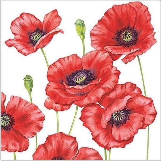 20x Klaprozen/poppy bloemen voorjaar servetten 33 x 33 cm - Papieren wegwerpservetten 3-laags