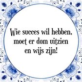 Tegeltje met Spreuk (Tegeltjeswijsheid): Wie succes wil hebben, moet er dom uitzien en wijs zijn! + Kado verpakking & Plakhanger